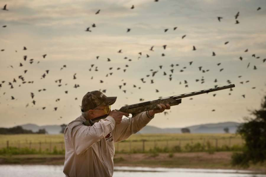 What To Bring Dove Hunting
